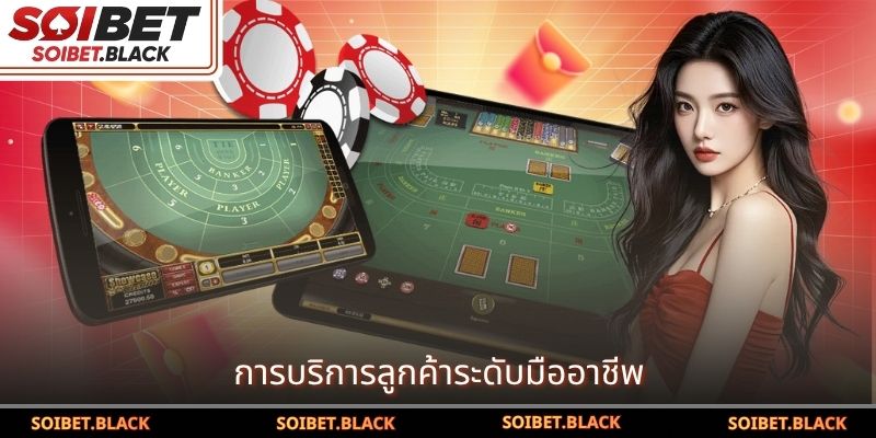 การบริการลูกค้าระดับมืออาชีพ