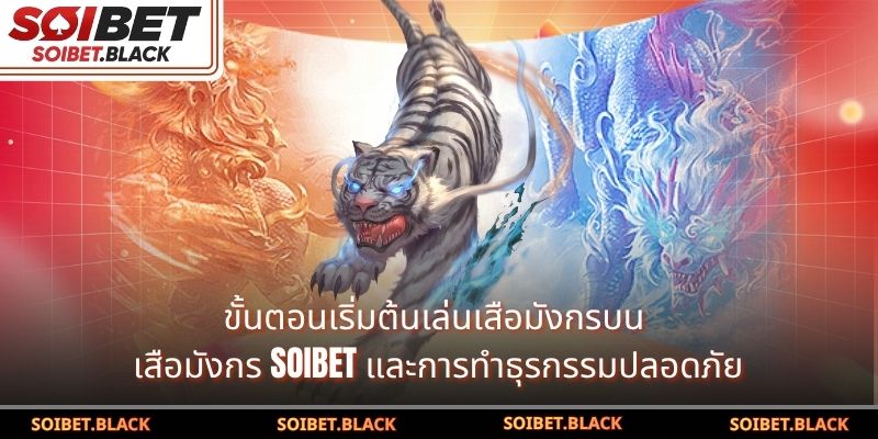 ขั้นตอนเริ่มต้นเล่นเสือมังกรบน เสือมังกร SOIBET และการทำธุรกรรมปลอดภัย