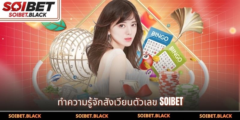 ทำความรู้จักสังเวียนตัวเลข SOIBET