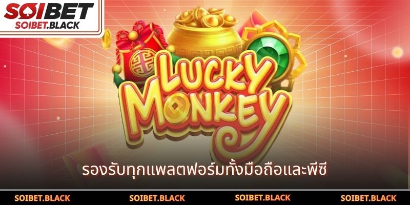 รองรับทุกแพลตฟอร์มทั้งมือถือและพีซี